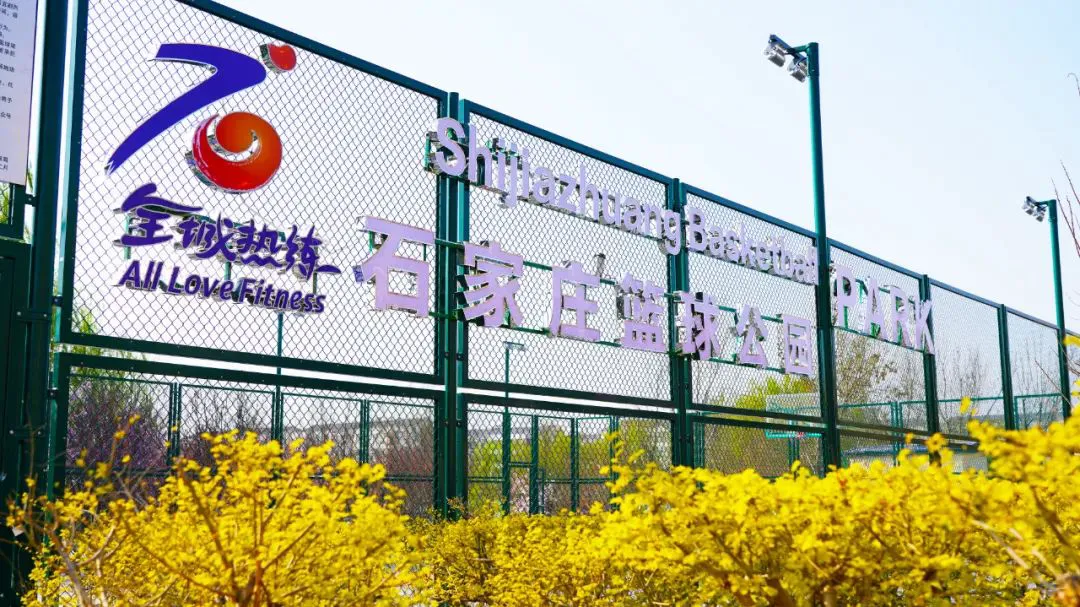 篮球小学生基本功训练教学反思简短_0